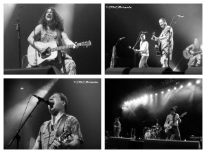 Hayseed Dixie collage