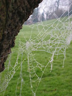 9a46a32bfa0ba0685d2866fb7a28b57a