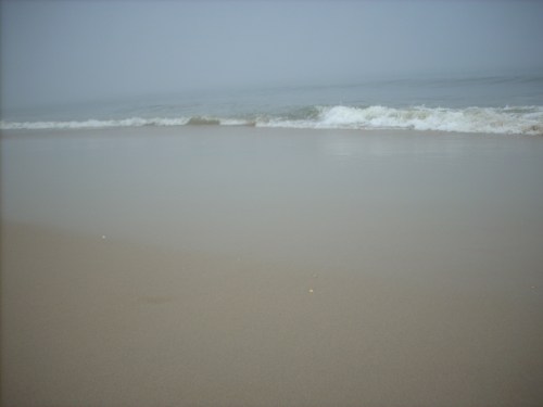misty beach