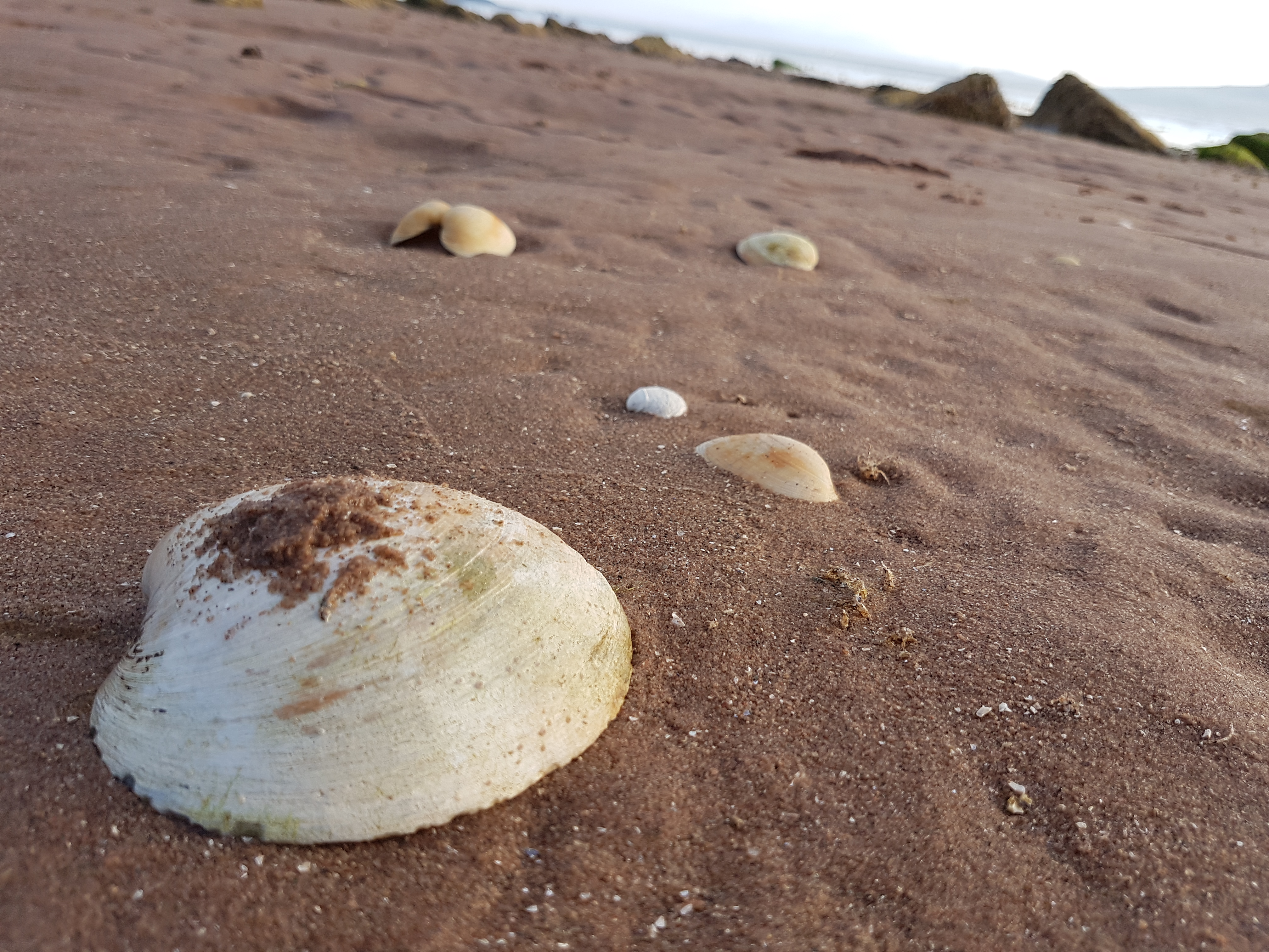 20170725_200836 - Copy