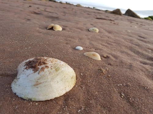 20170725_200836 - Copy