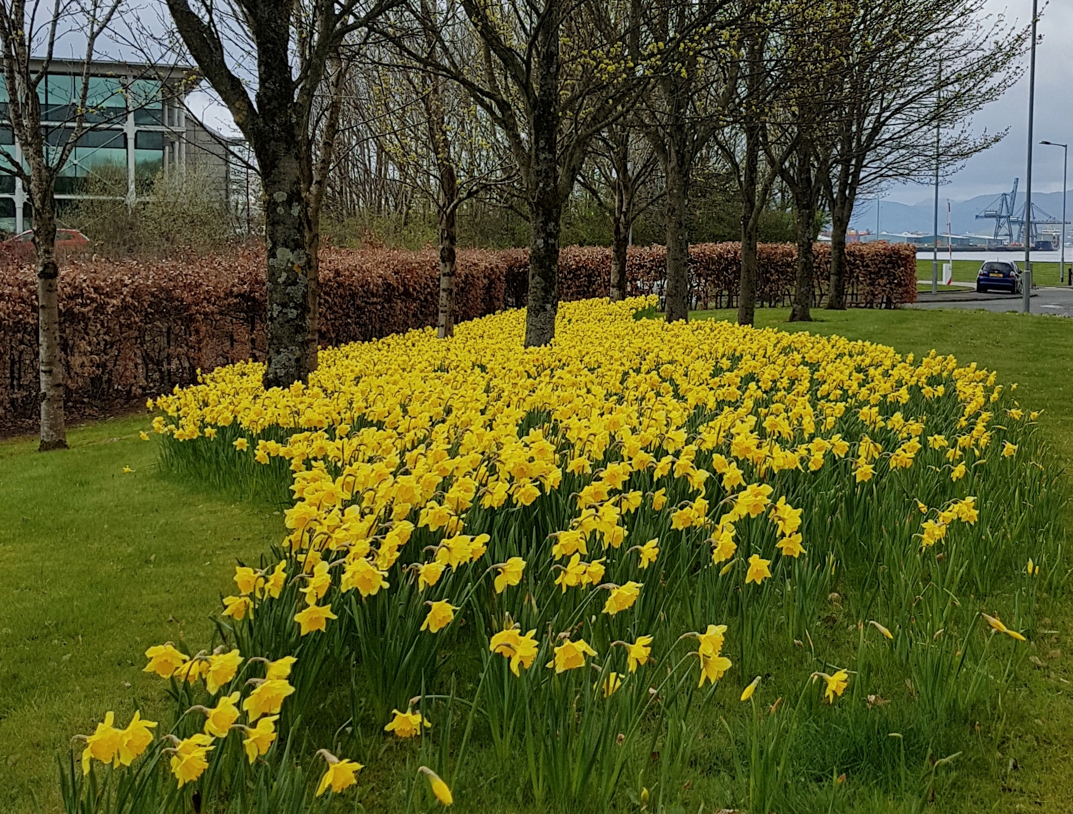 Spring Calu Measures of Spring | Coral McCallum