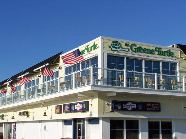 greene-turtle-2