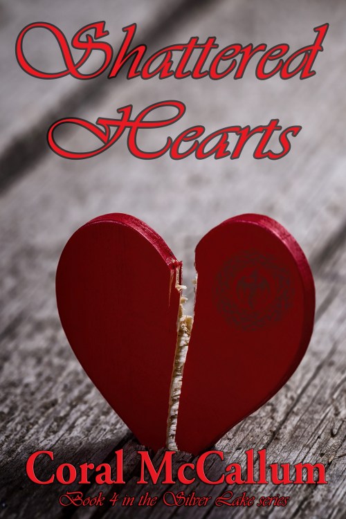 SH 6x9 front cover lighter 3