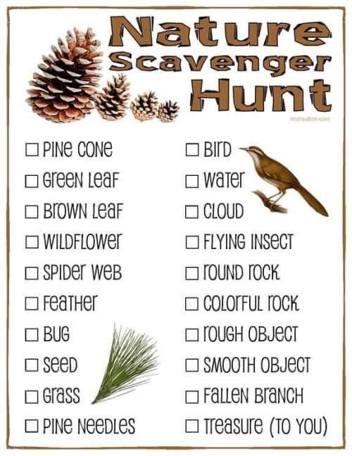 FB_IMG_1586679162269